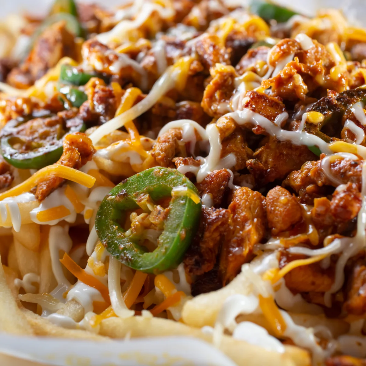 Pulled Beef Fries